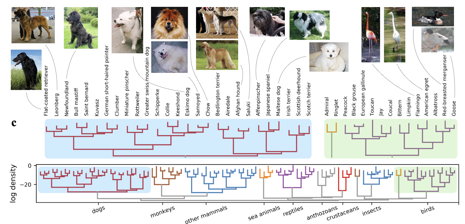 hierarchical_nucleation.png